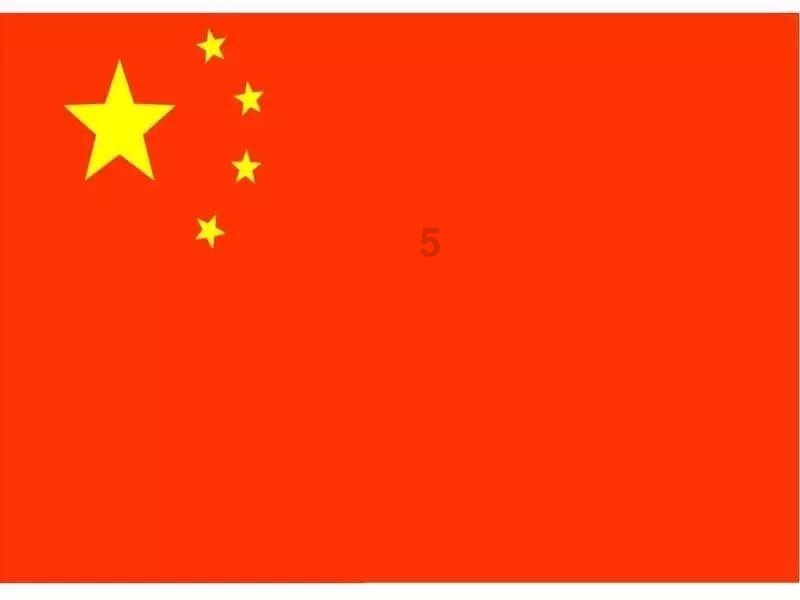 狗狗物品记忆卡