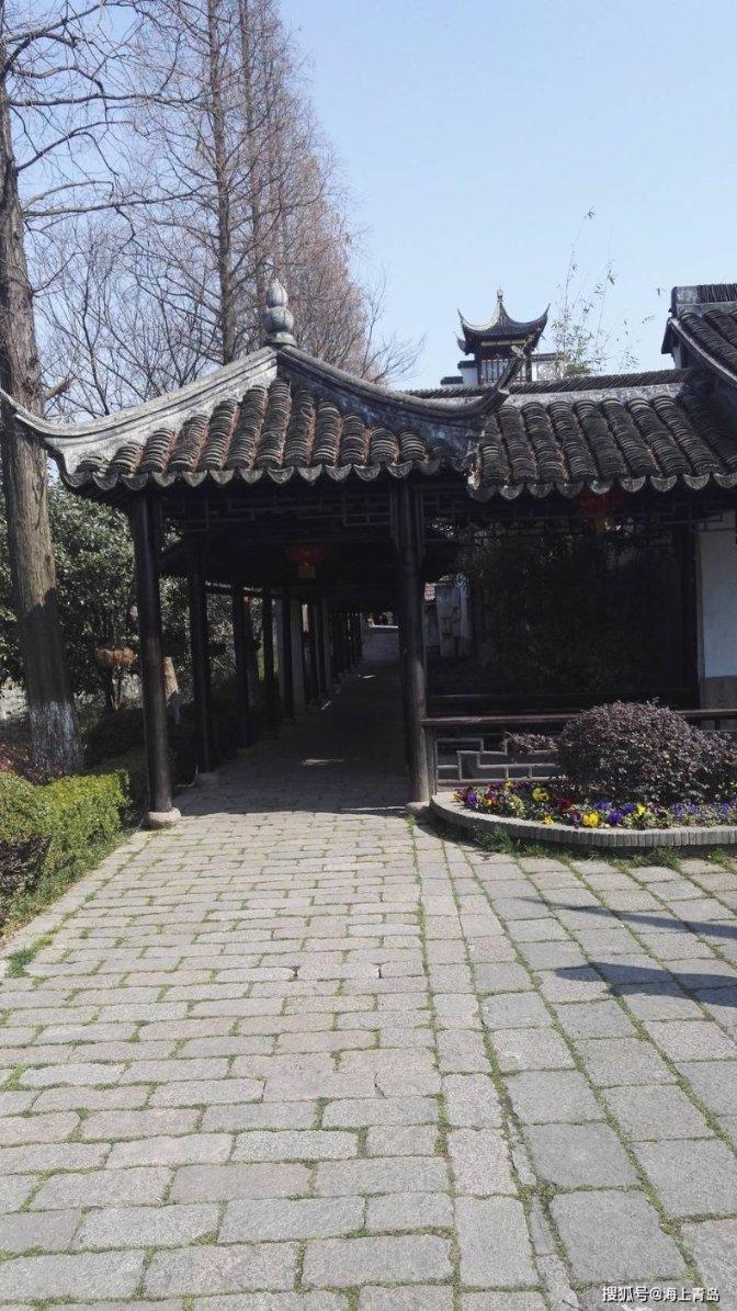 小鸡要回家